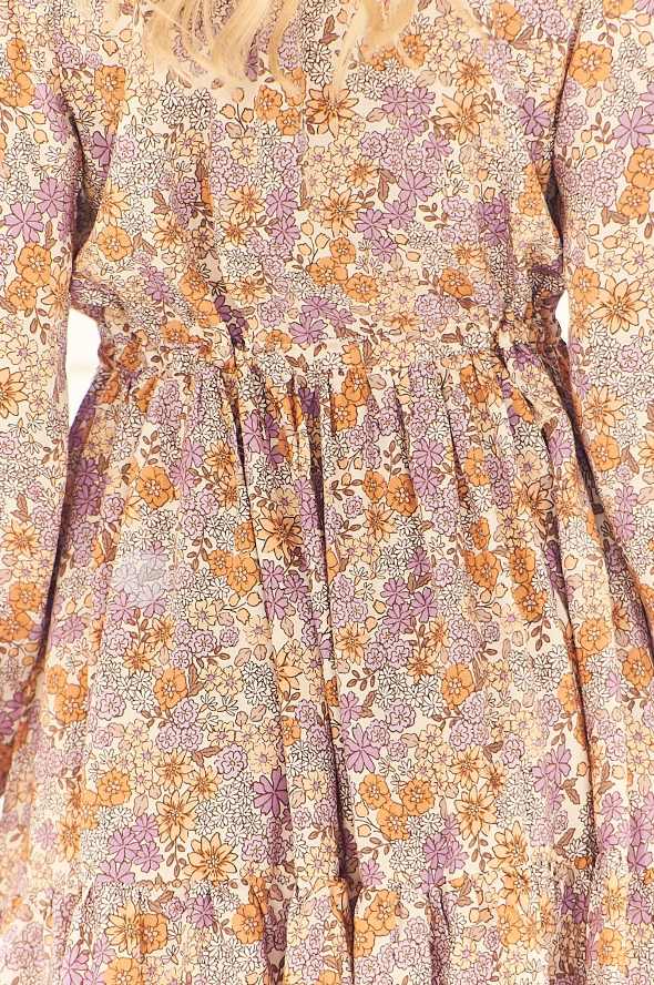 Jaase - Amity Print Day Dress